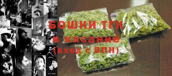 прущая мука Арсеньев