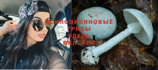 прущая мука Баксан