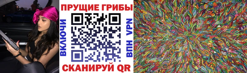 Псилоцибиновые грибы Psilocybine cubensis  как найти закладки  Олёкминск 